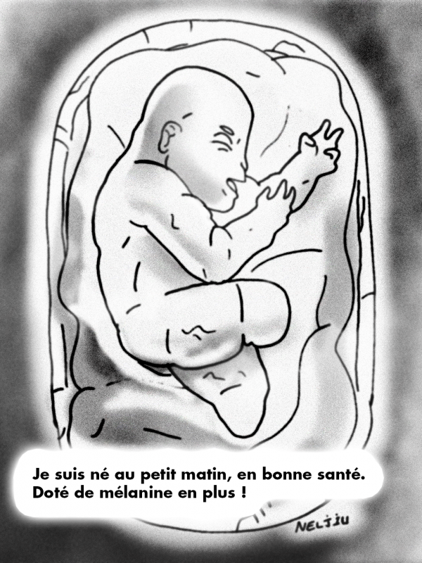BD - storytelling case